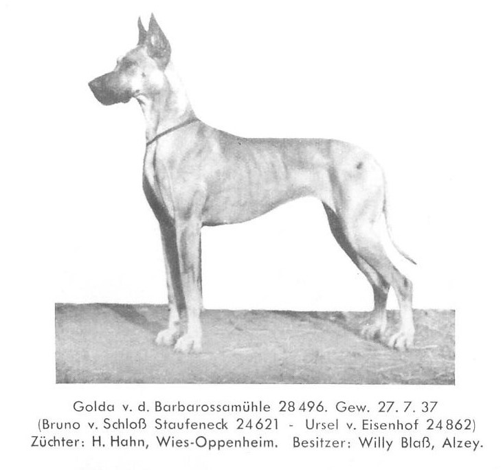 Golda vd Barbarossamuhle
